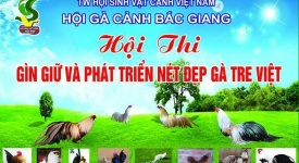 Clb gà tre cảnh Tân châu bắc giang tổ chức cuộc thi nét đẹp gà tre Việt lần 2.