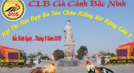 CLB gà cảnh Bắc Ninh tổ chức hội thi gà đẹp